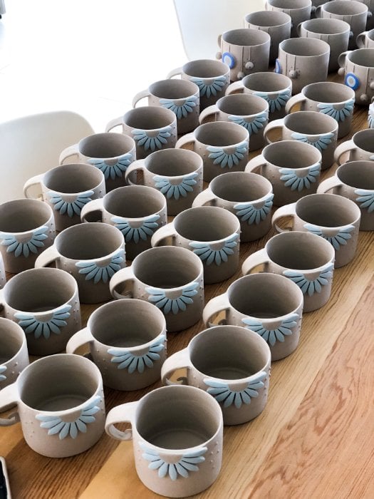 Gerbera fincanları